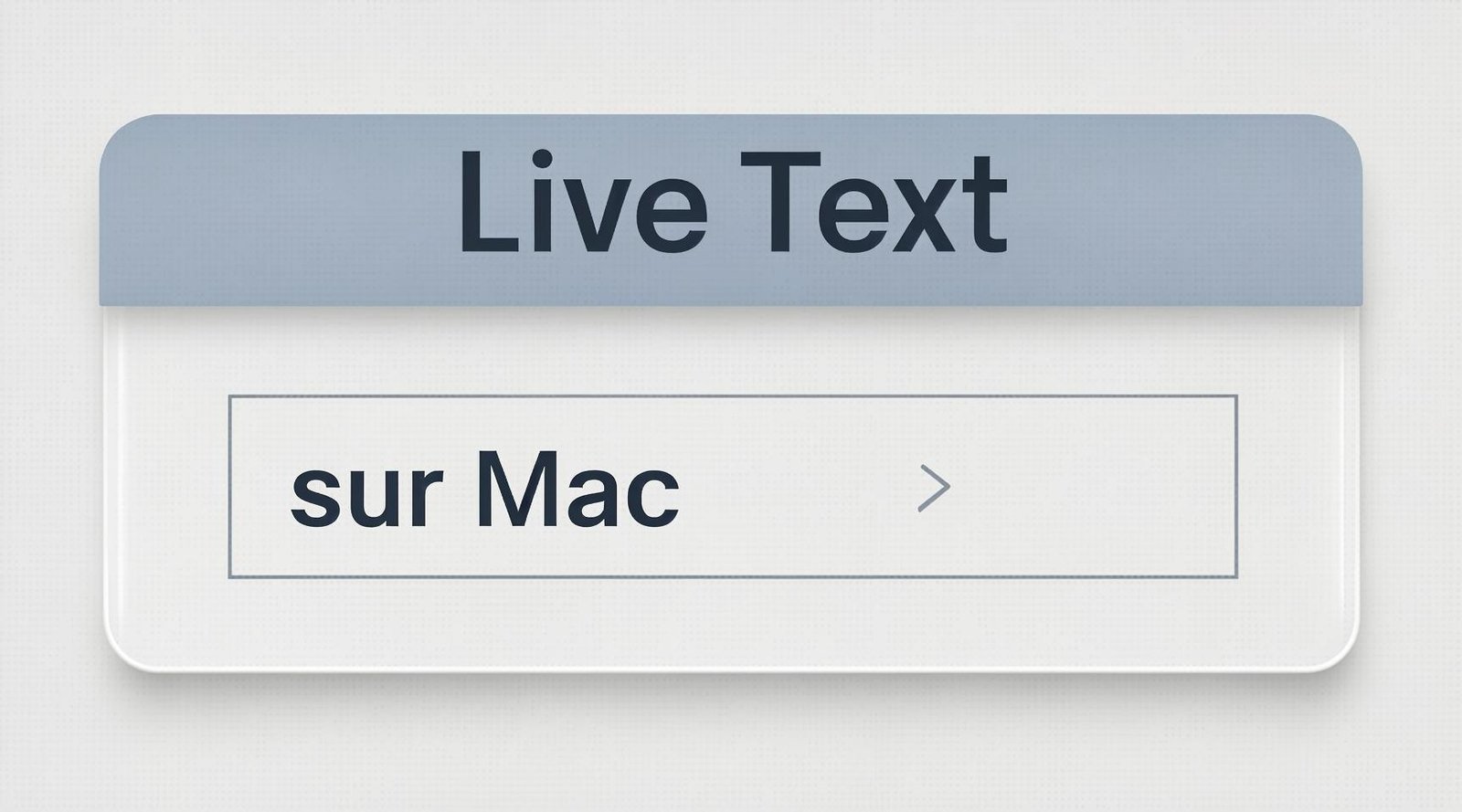 Live Text sur Mac Aperçu